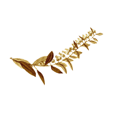 Gold leaf Harijaona